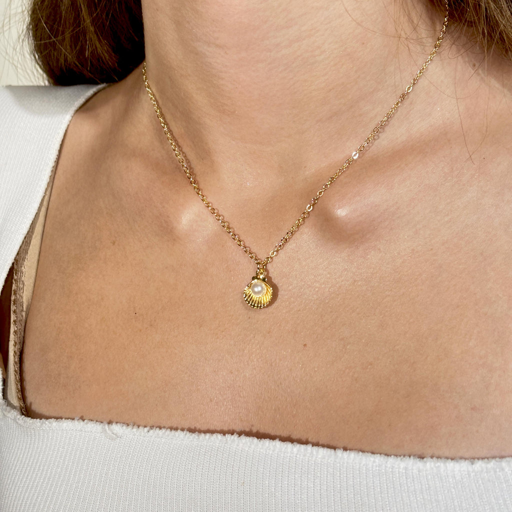 Sea Shell Necklace with Pearl by Stella Amoré